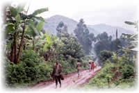 road in Kenya